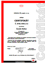 Certifikát panDOMO 2008